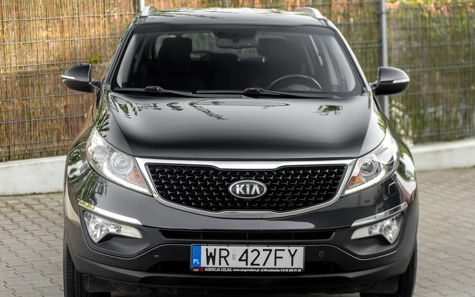 Kia Sportage cena 55900 przebieg: 191000, rok produkcji 2014 z Radom małe 667